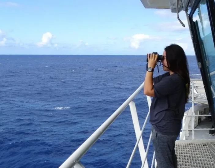 Seabird Observer role at STRIX