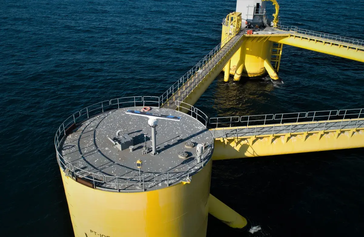 WindFloat Atlantic floating offshore wind farm — STRIX avifauna monitoring