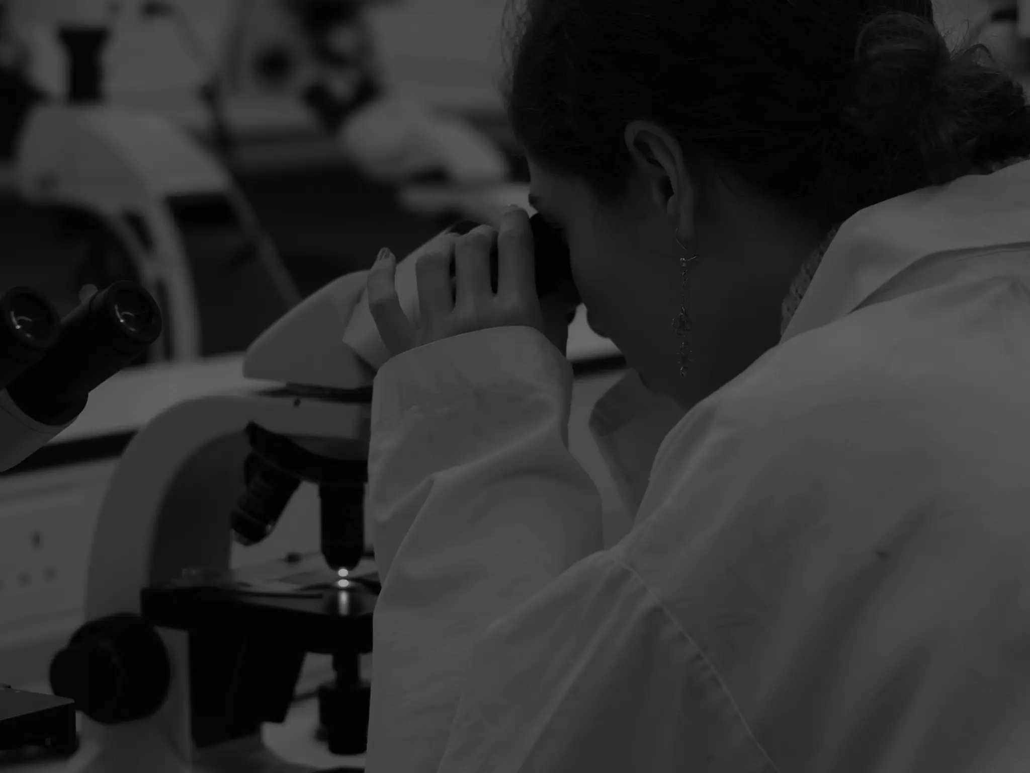 Intern Biologist (Birds/Bats) role at STRIX